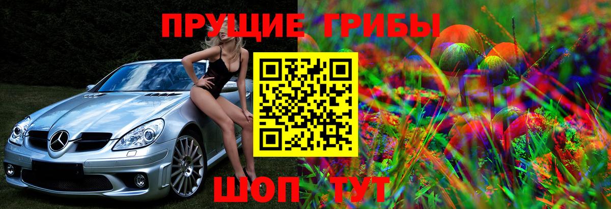 Псилоцибиновые грибы Cubensis Грозный