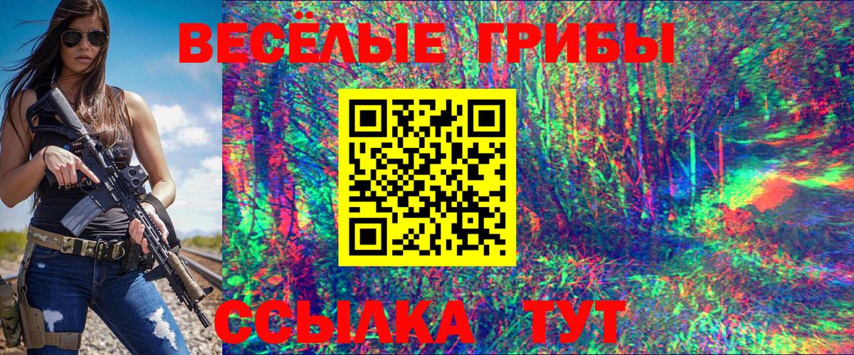 Псилоцибиновые грибы ЛСД  Псилоцибиновые грибы GOLDEN TEACHER  Вход с VPN  Грозный 